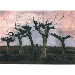 Landscape with pollard willows 1884