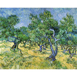 Olive grove 1889