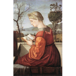 The virgin reading 1510