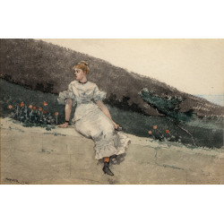 The garden wall 1880