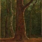 Achille Etna Michallon